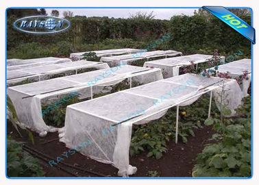 Anty UV PP Spunbond Non Woven Landscape Fabric For Agriculture Plant Cover
