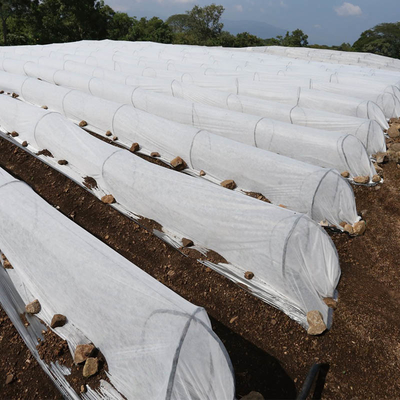 Rolnictwo Biodegradowalna, bardzo szeroka włóknina PP Spunbond na zimę